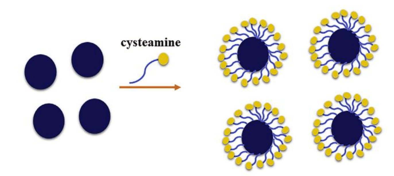 công nghệ bọc nano cysteamine