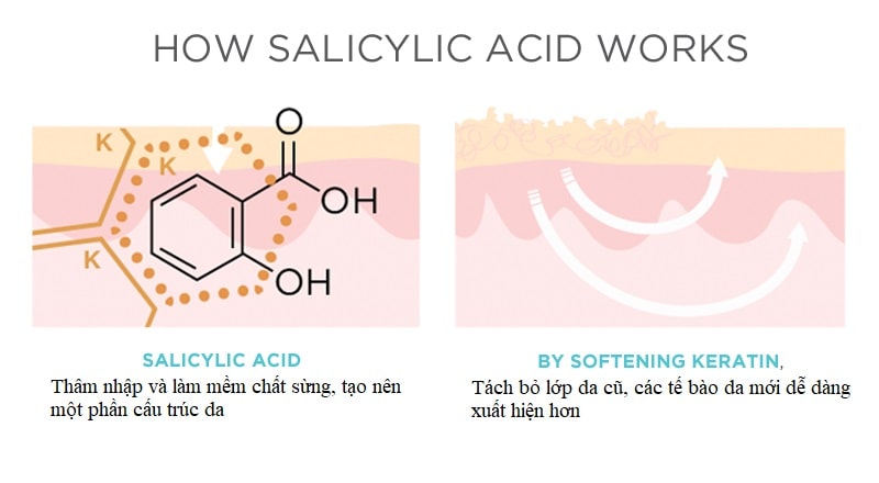 cơ chế hoạt động của salicylic acid